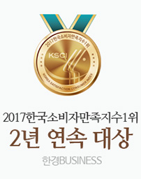 2017 한국 한국소비자 만족지수 1위